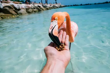 339908995_6087975237950689_3099715112538821511_n